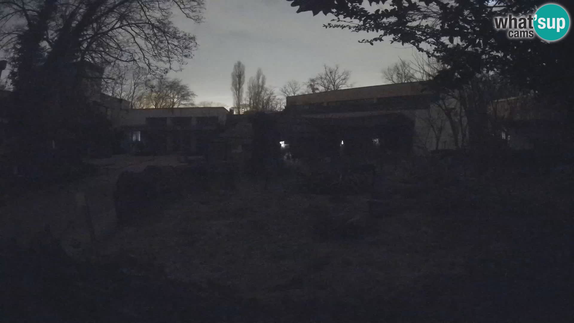 Zoo Zagreb – Erdmännchen