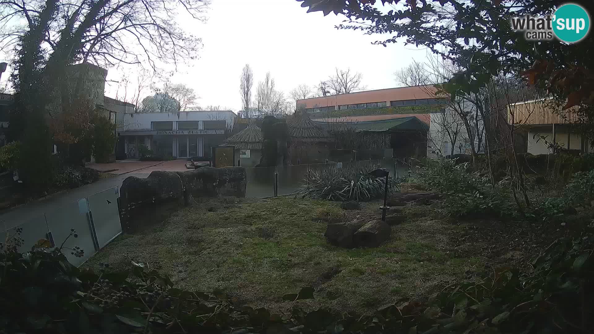 Zoo Zagreb – Surikate