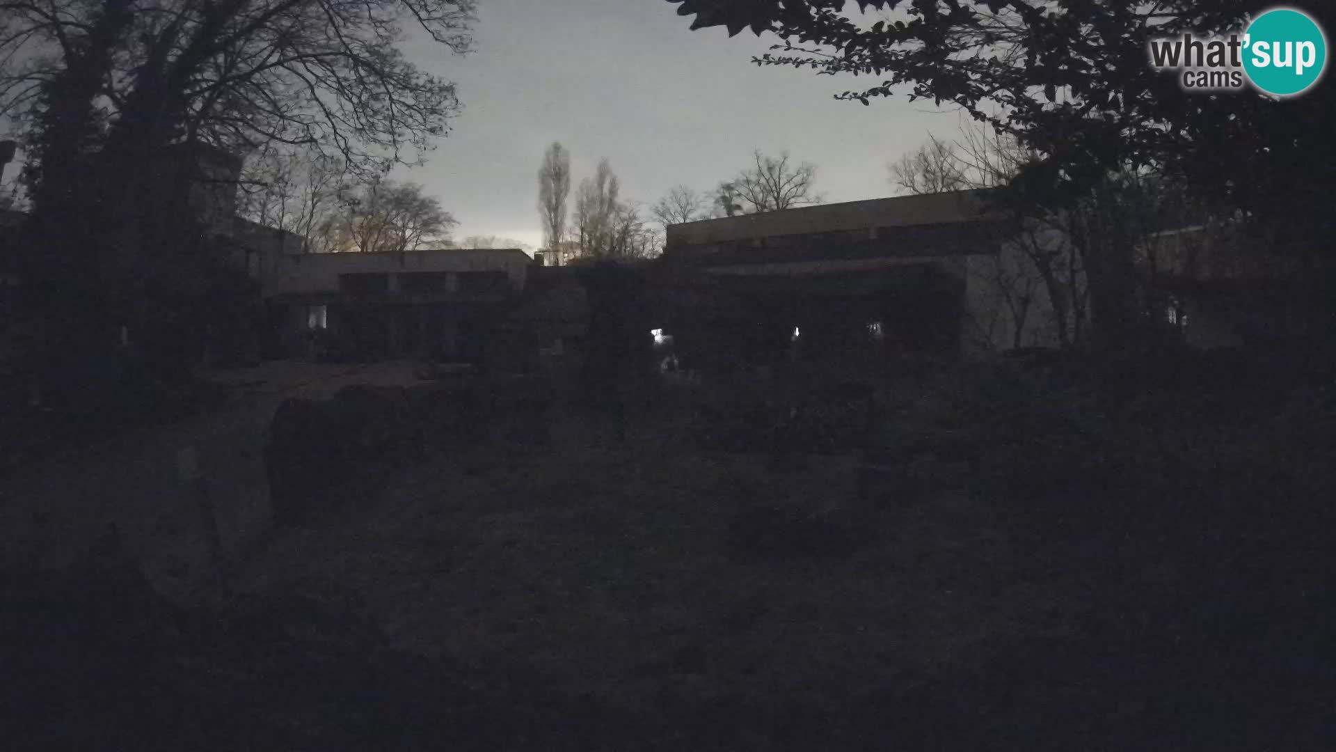 Zoo Zagreb – Merkat