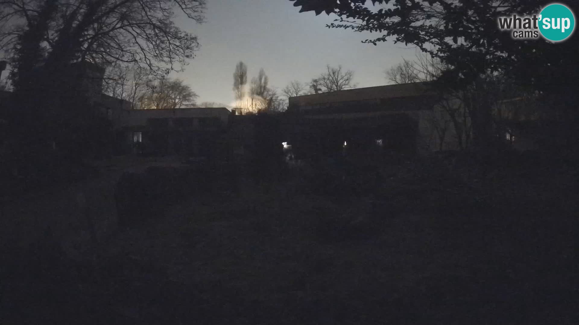 Zoo Zagreb – Merkat