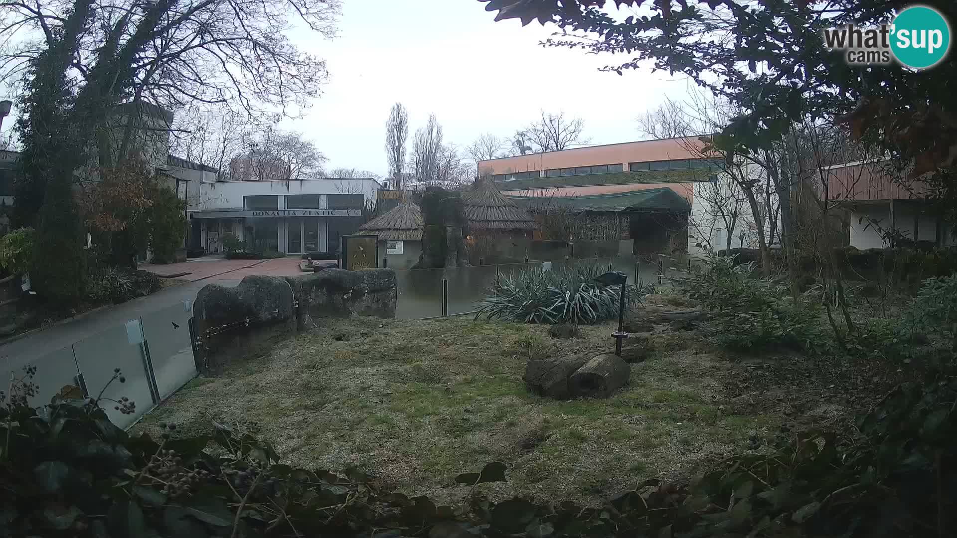 Zoo Zagreb – Erdmännchen