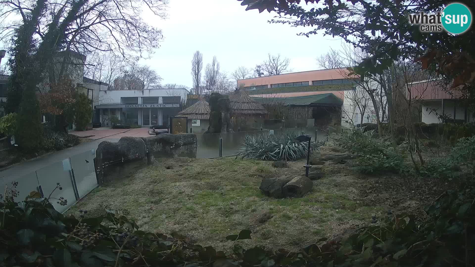 Zoo Zagreb – Surikate