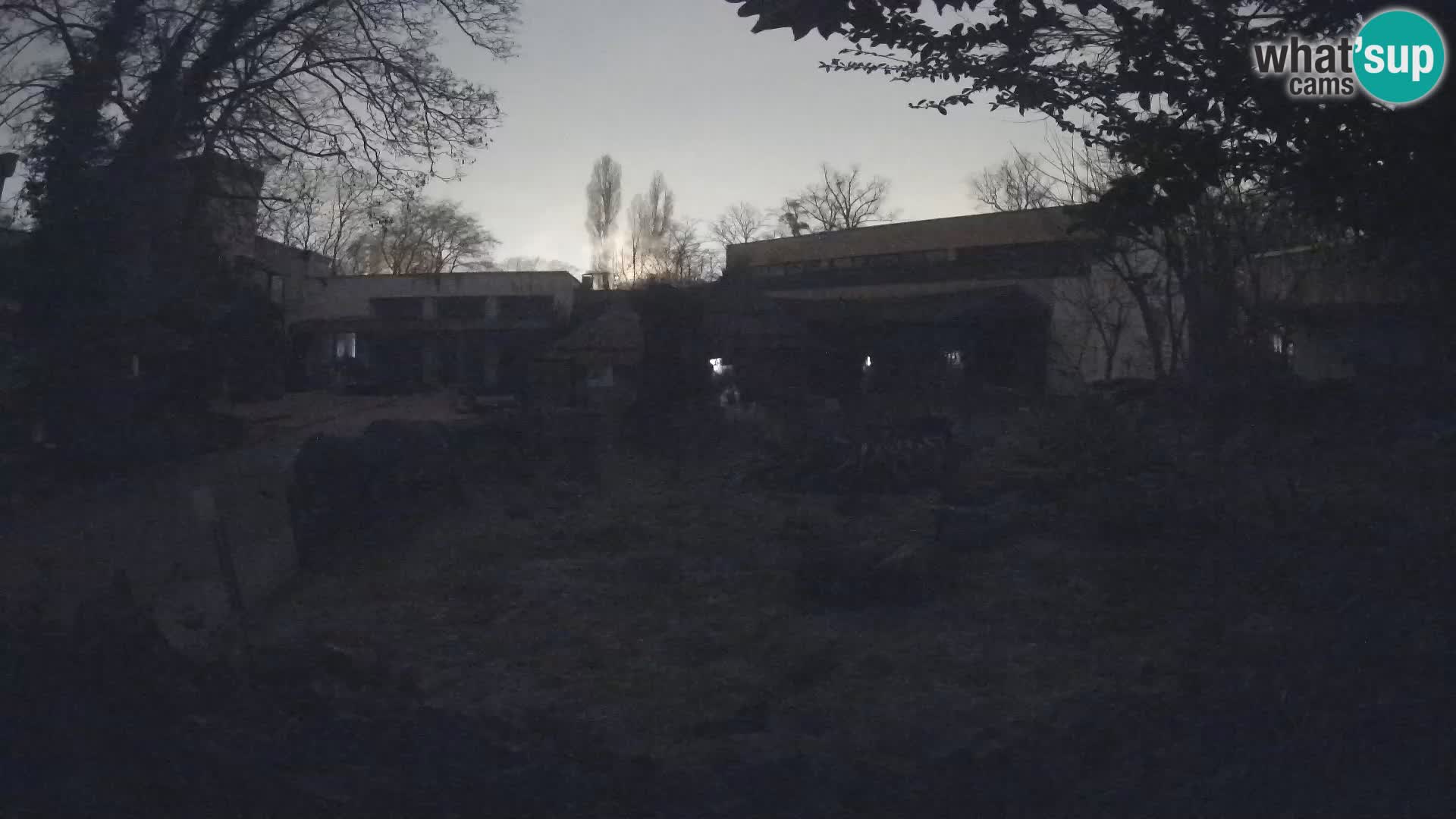 Zoo Zagreb – Erdmännchen