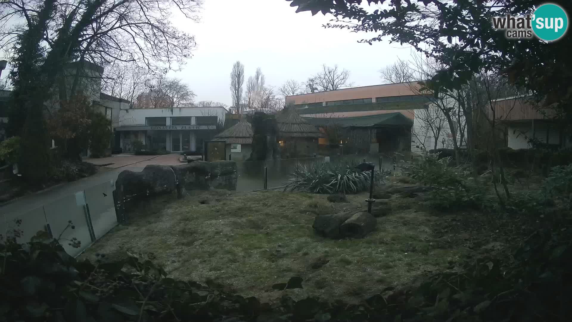 Zoo Zagreb – Erdmännchen