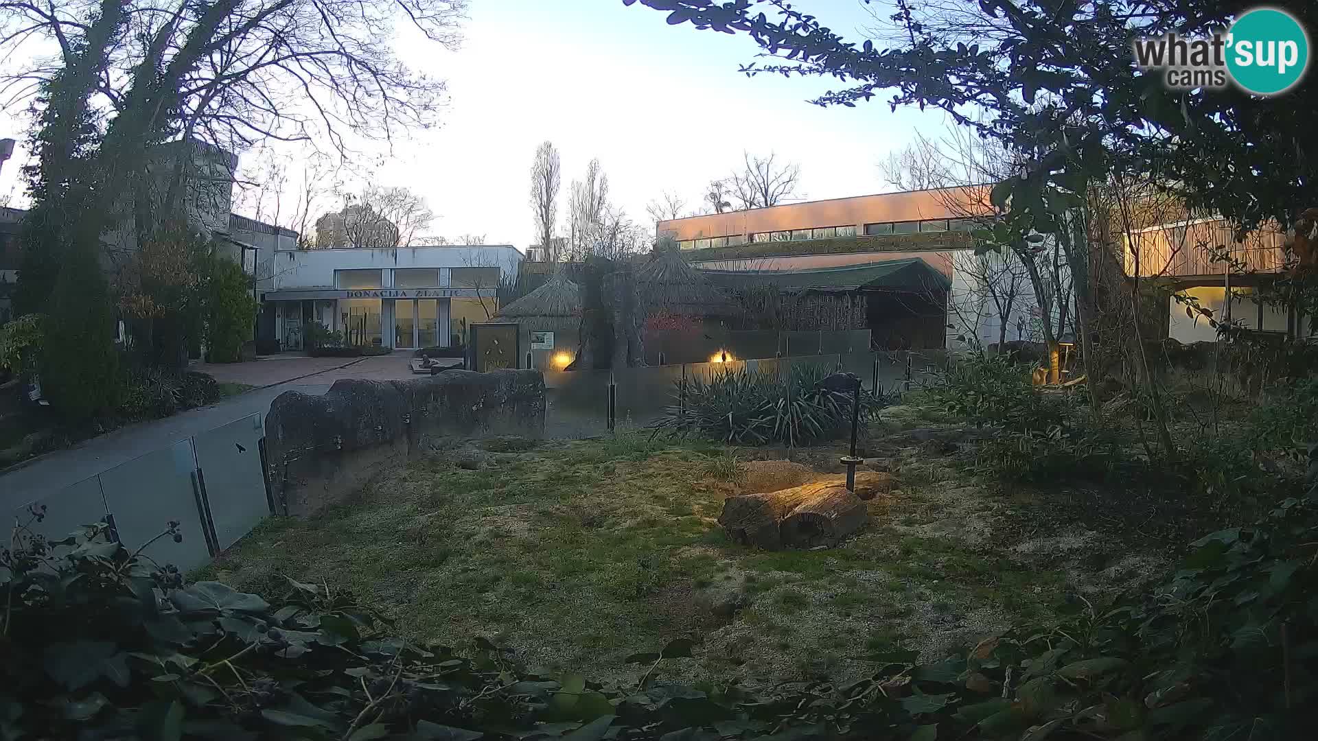 Zoo Zagreb – Merkat
