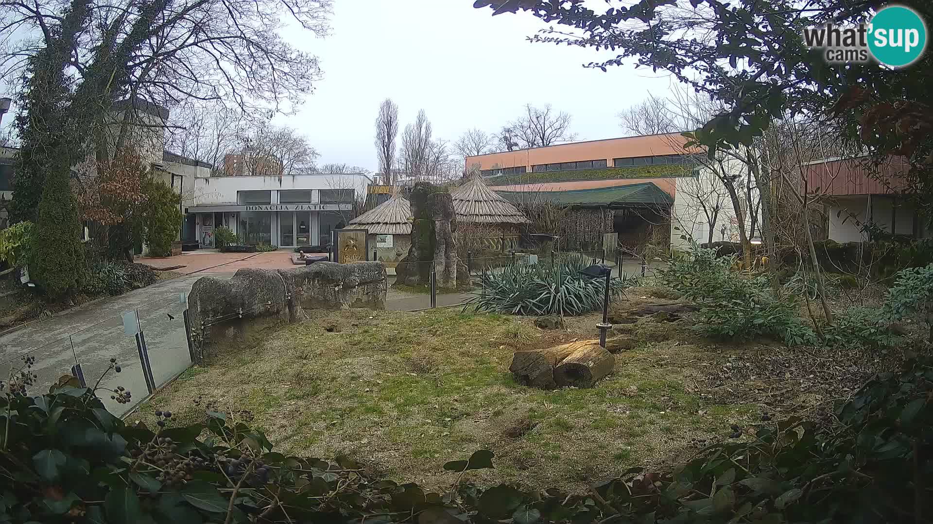 Zoo Zagreb – Surikate