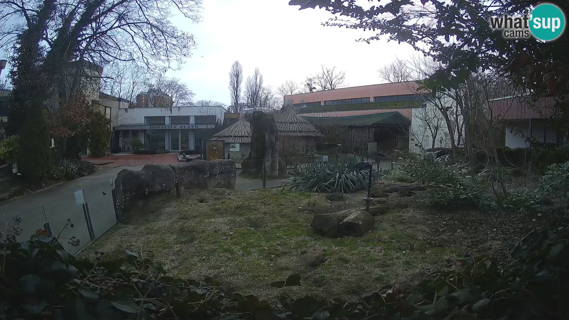 Zoo Zagreb – Erdmännchen