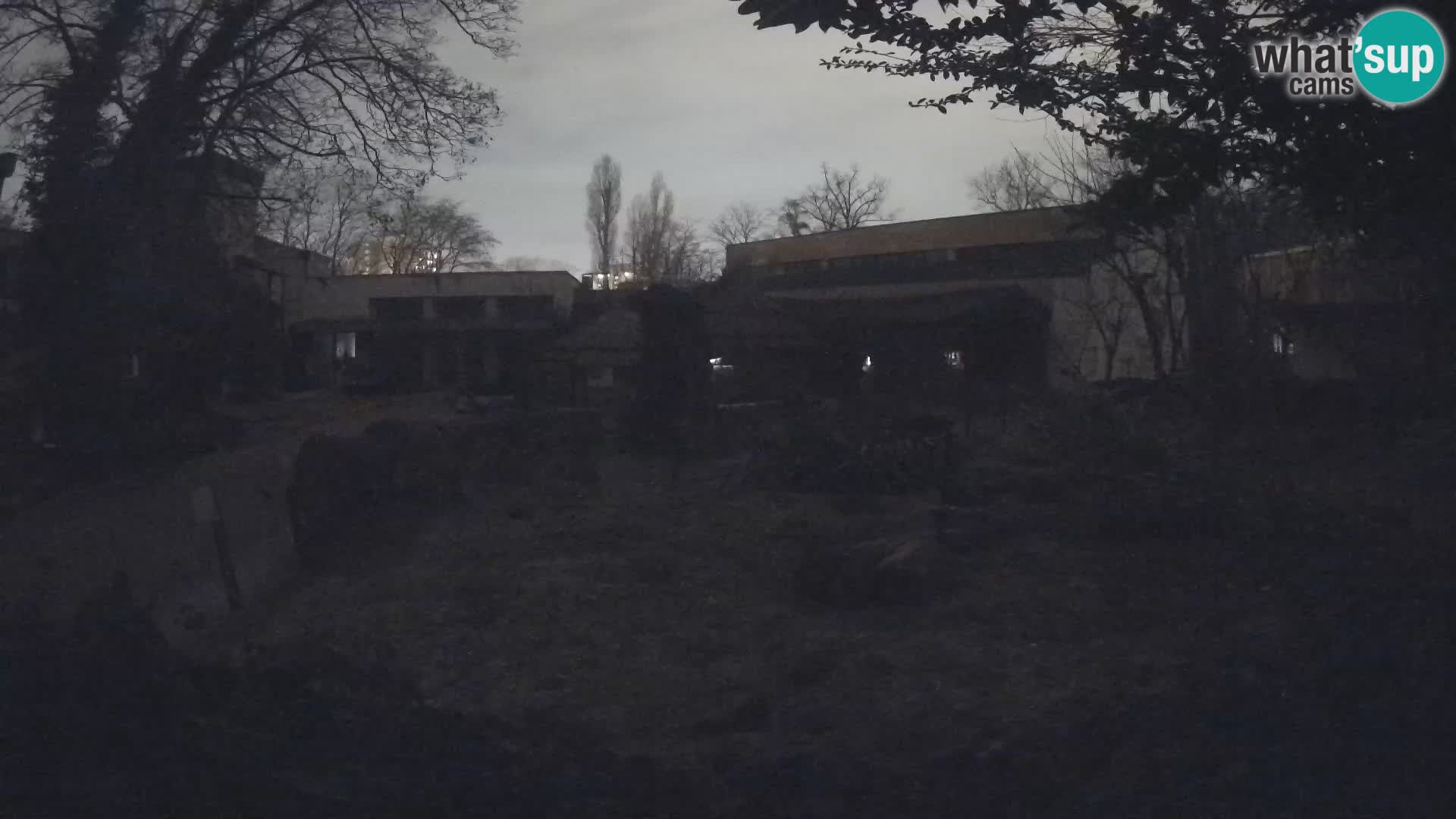 Zoo Zagreb – Erdmännchen