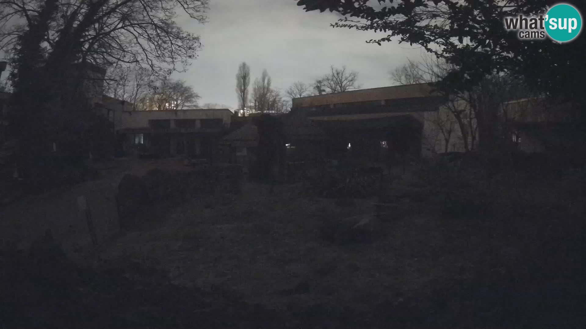 Zoo Zagreb – Erdmännchen