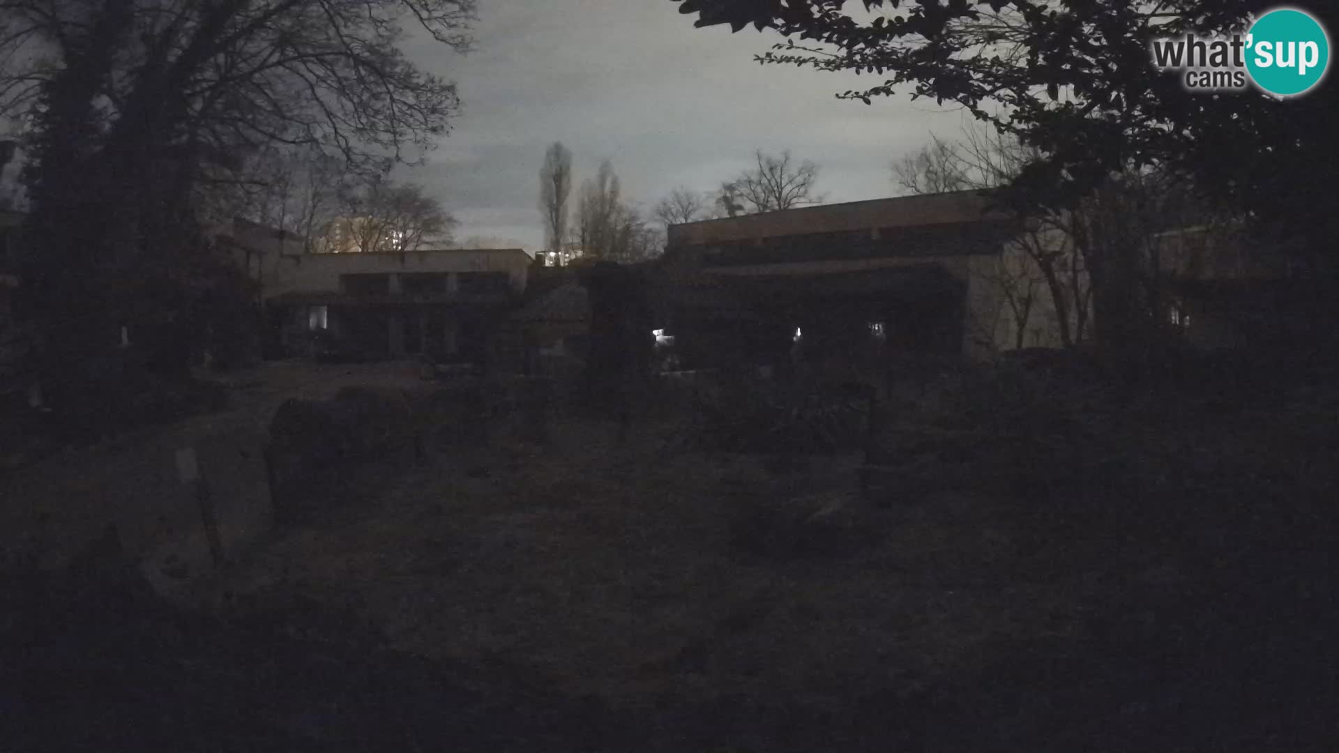 Zoo Zagreb – Surikate