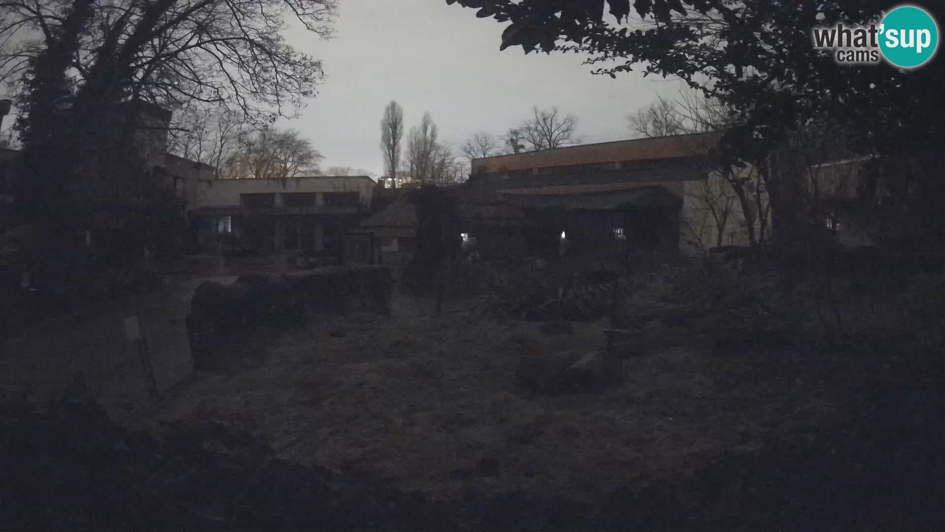 Zoo Zagreb – Merkat