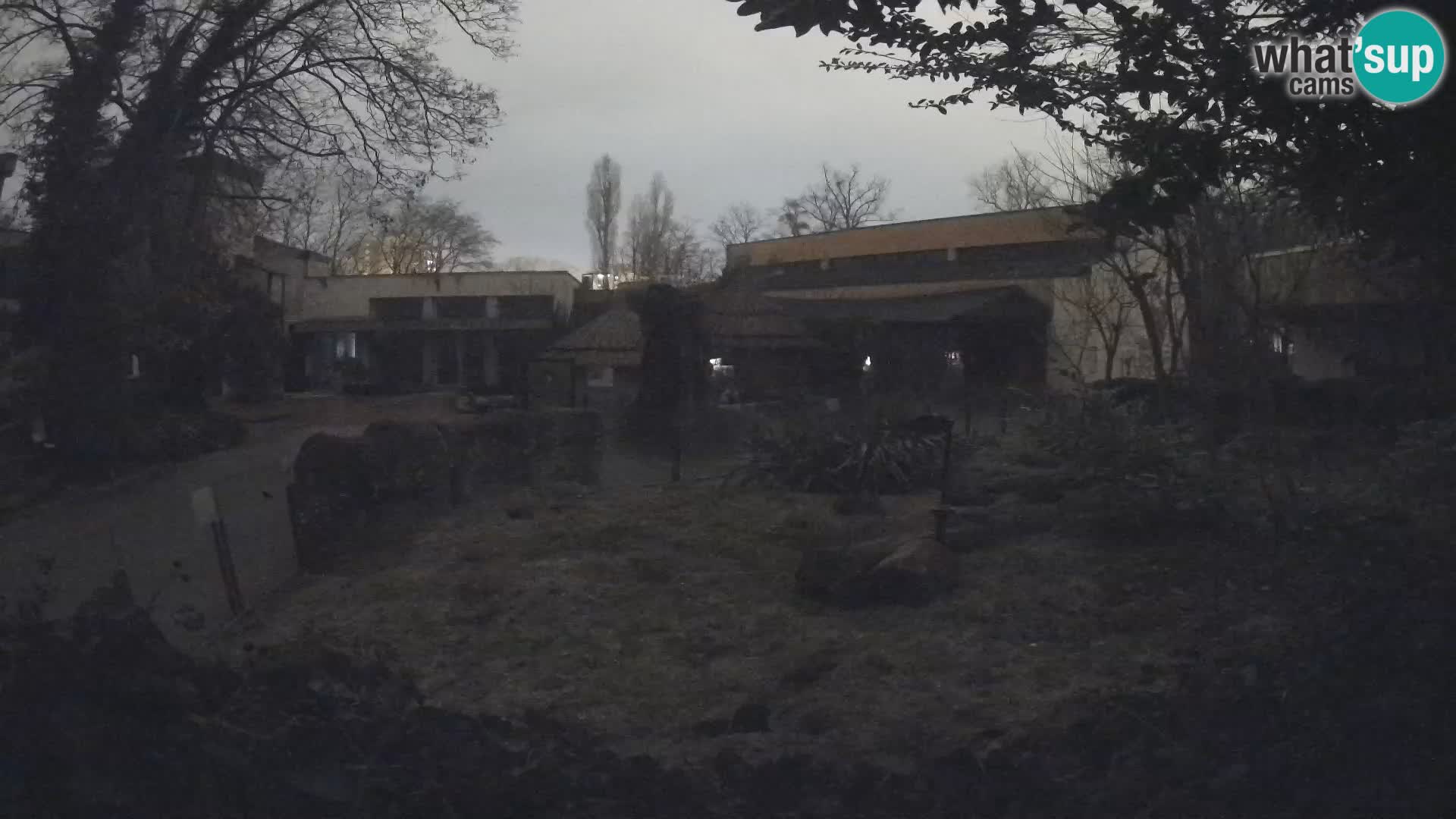 Zoo Zagreb – Erdmännchen