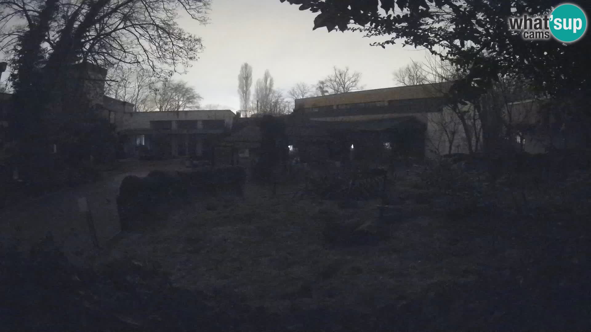 Zoo Zagreb – Erdmännchen