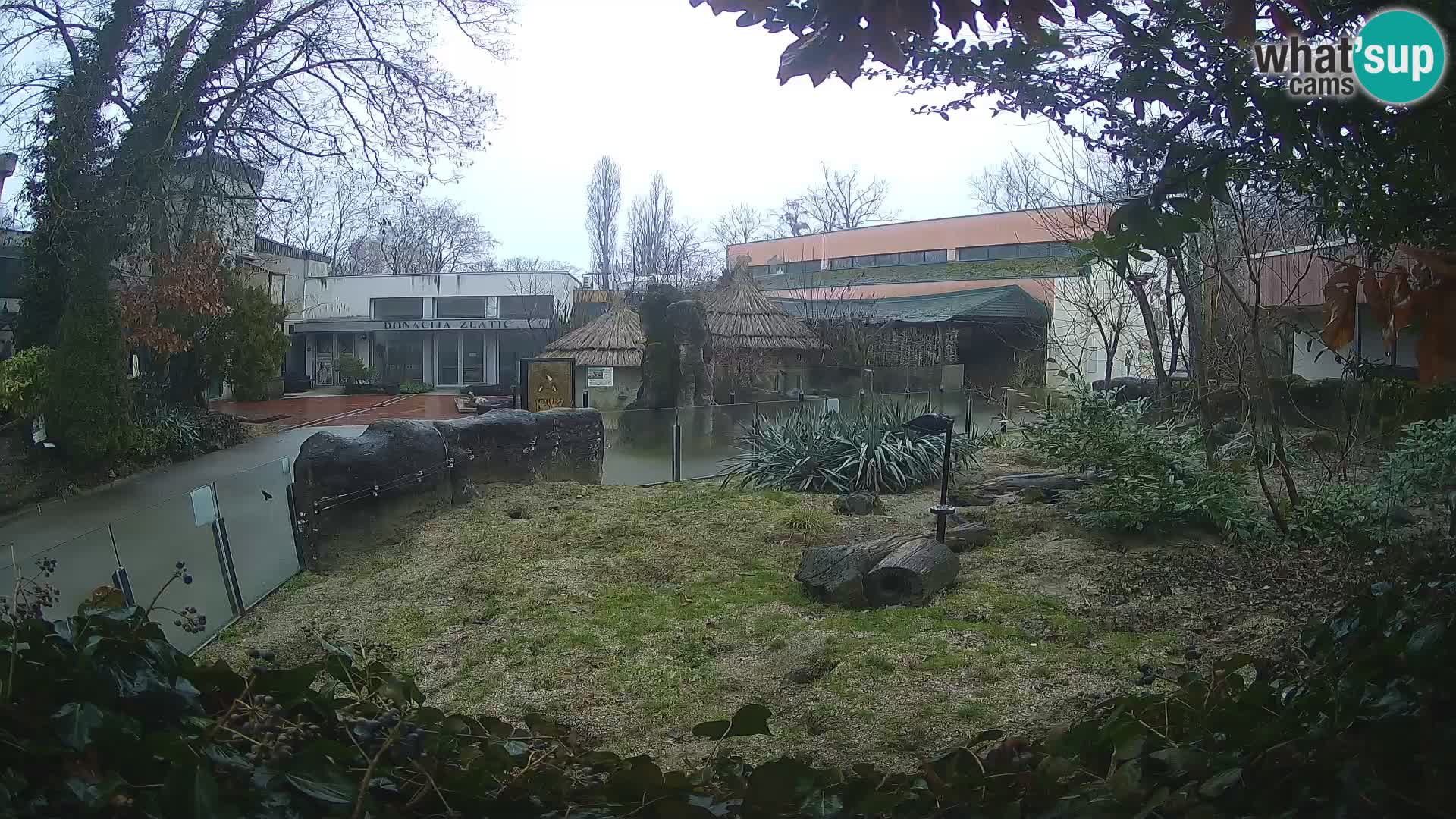 Zoo Zagreb – Erdmännchen