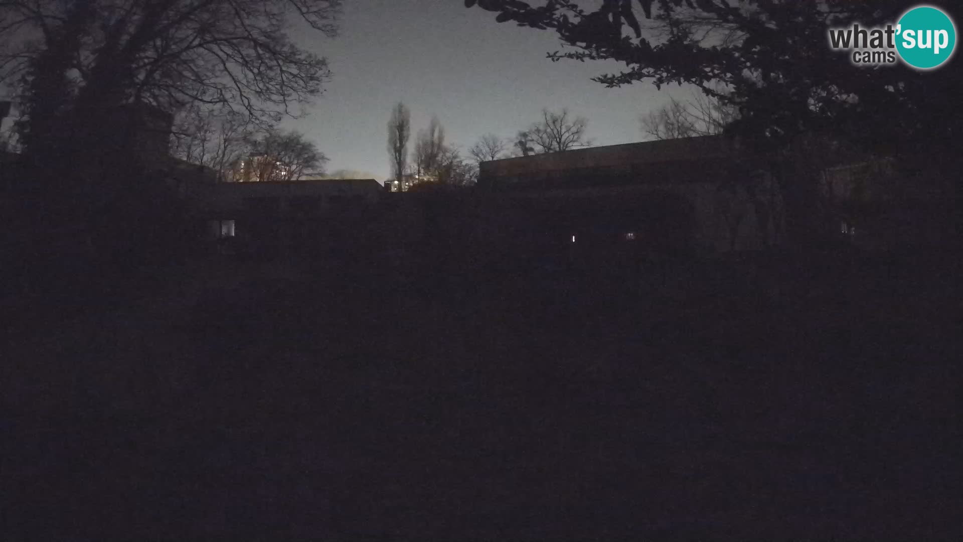 Zoo Zagreb – Erdmännchen