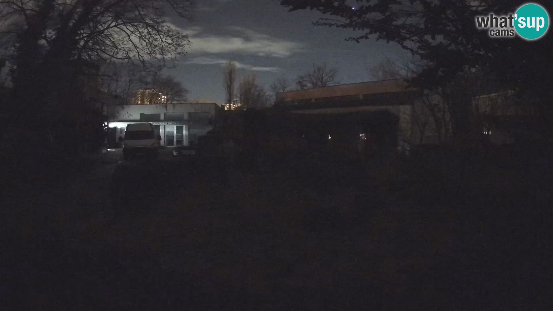 Zoo Zagreb – Merkat