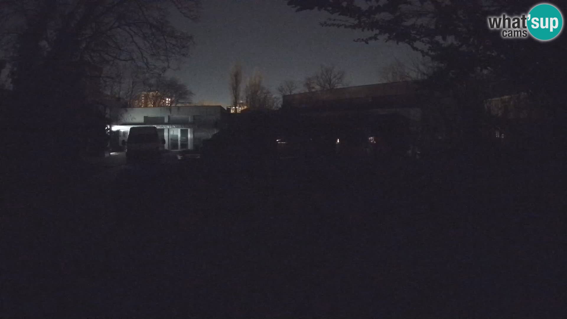 Zoo Zagreb – Merkat