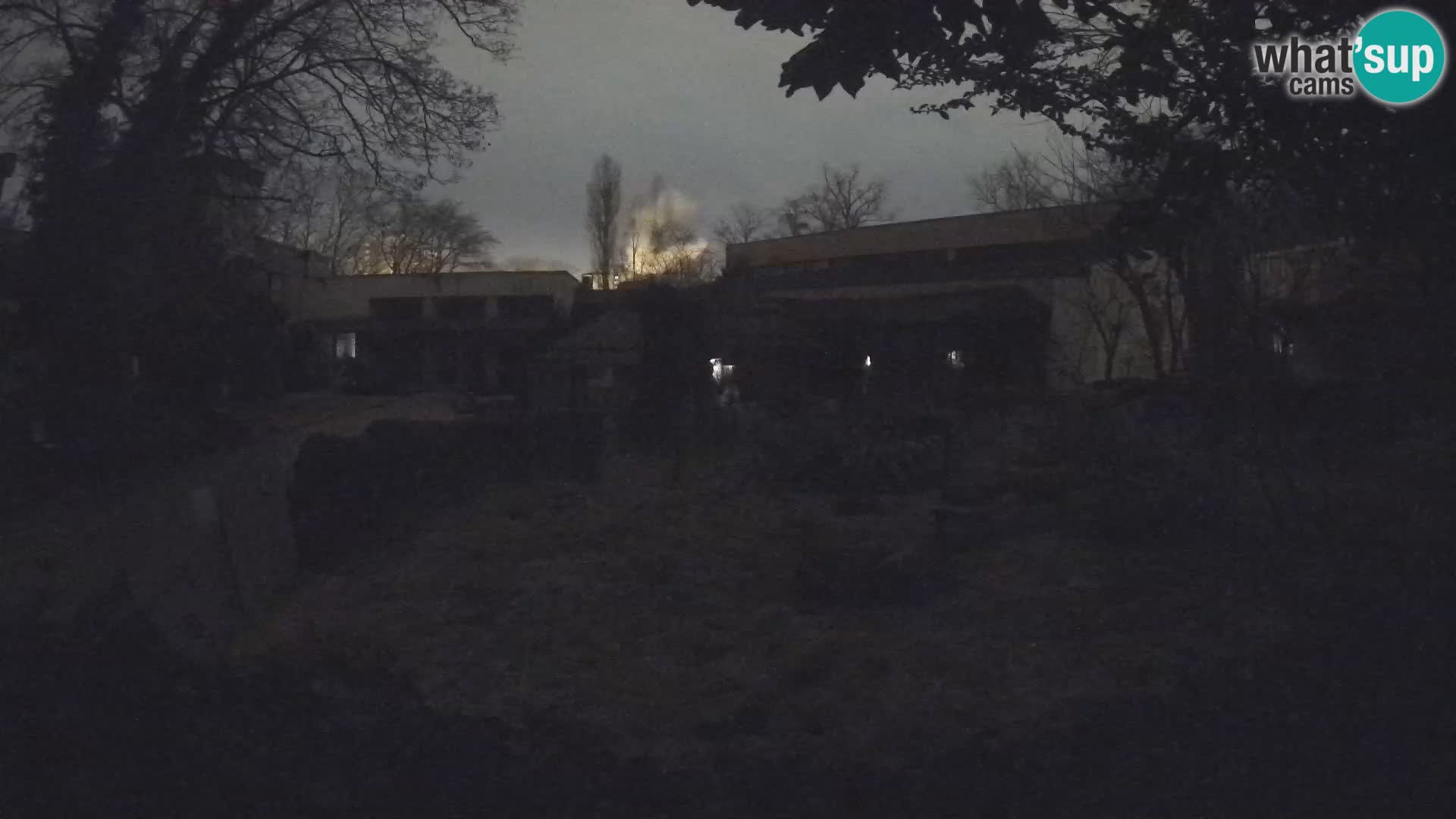 Zoo Zagreb – Merkat