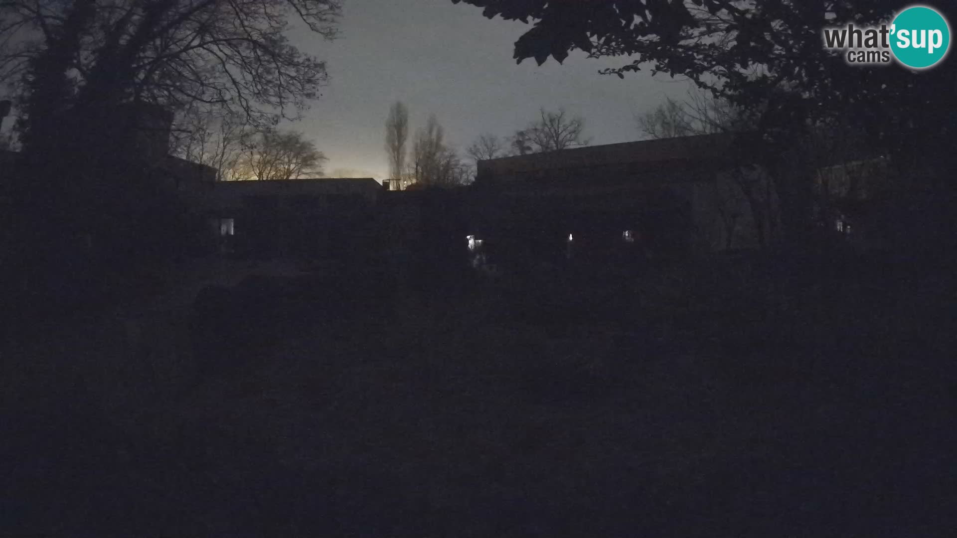 Zoo Zagreb – Merkat