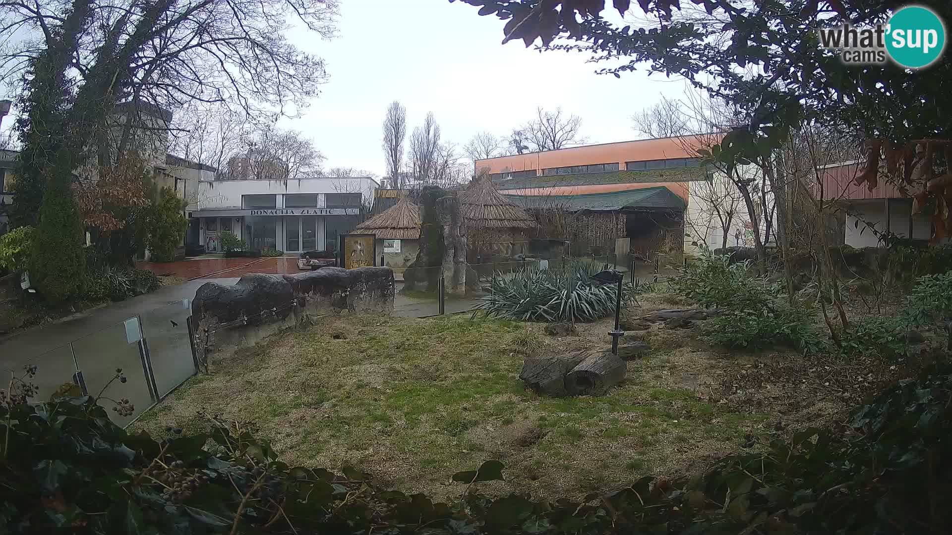 Zoo Zagreb – Merkat
