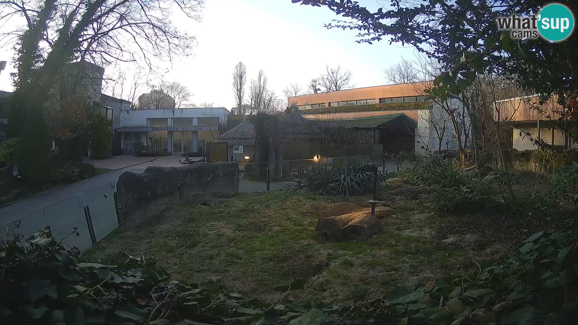 Zoo Zagreb – Suricata