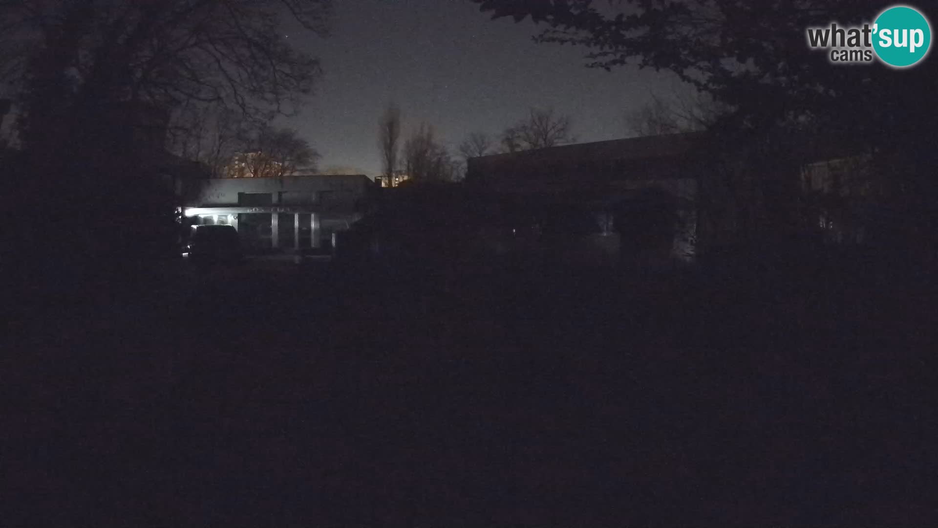 Zoo Zagreb – Suricate