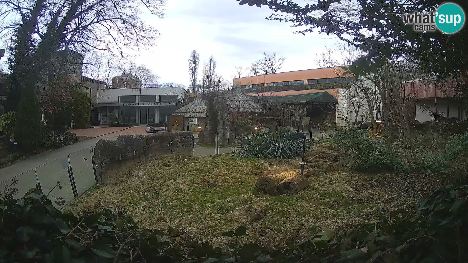 Zoo Zagreb – Merkat