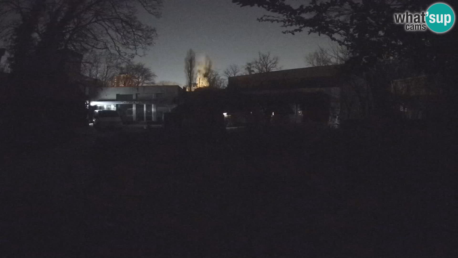 Zoo Zagreb – Merkat