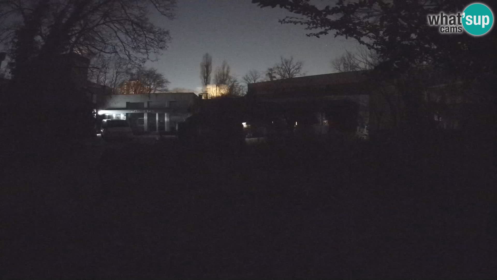 Zoo Zagreb – Merkat