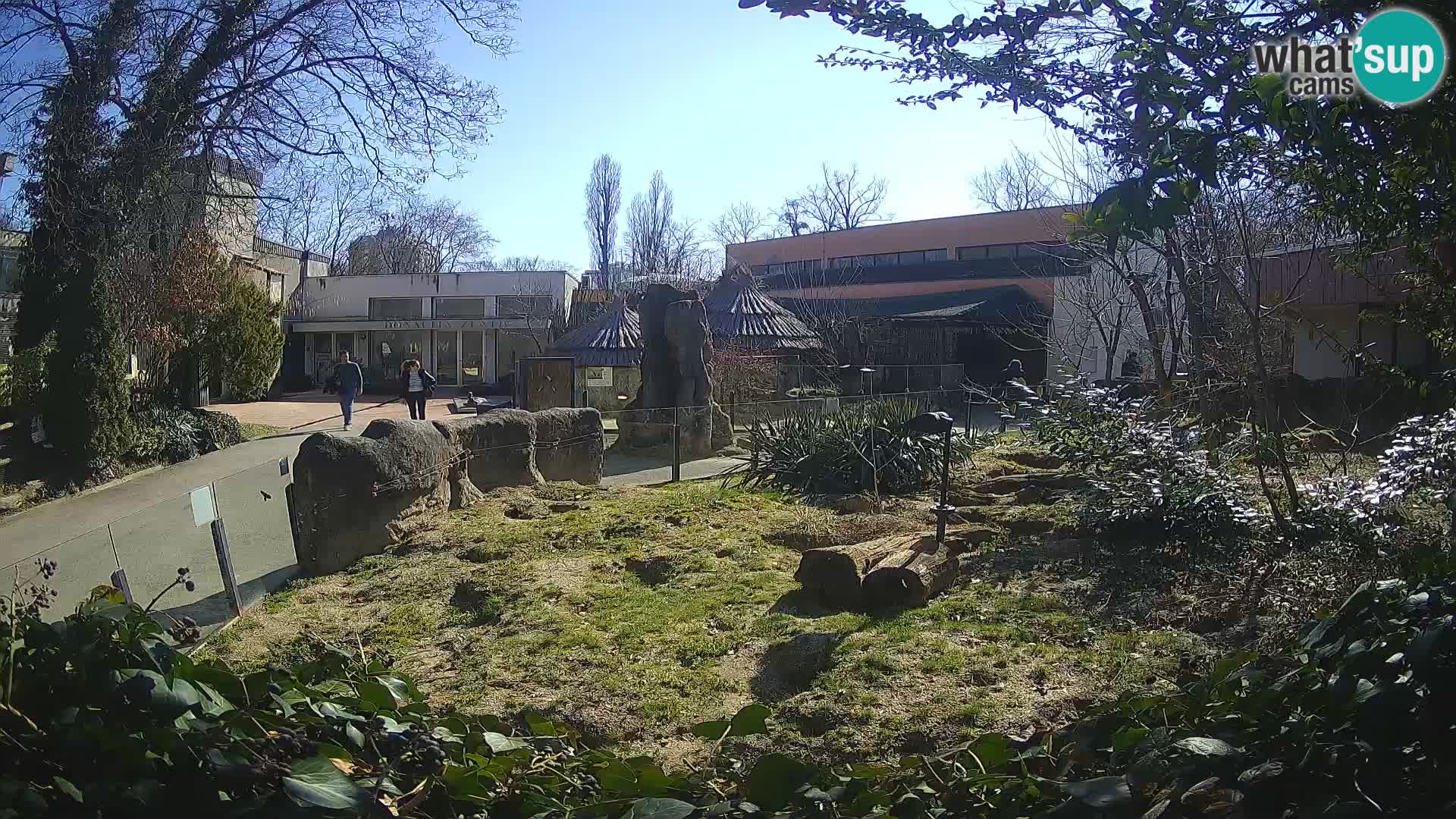 Zoo Zagreb – Surikate