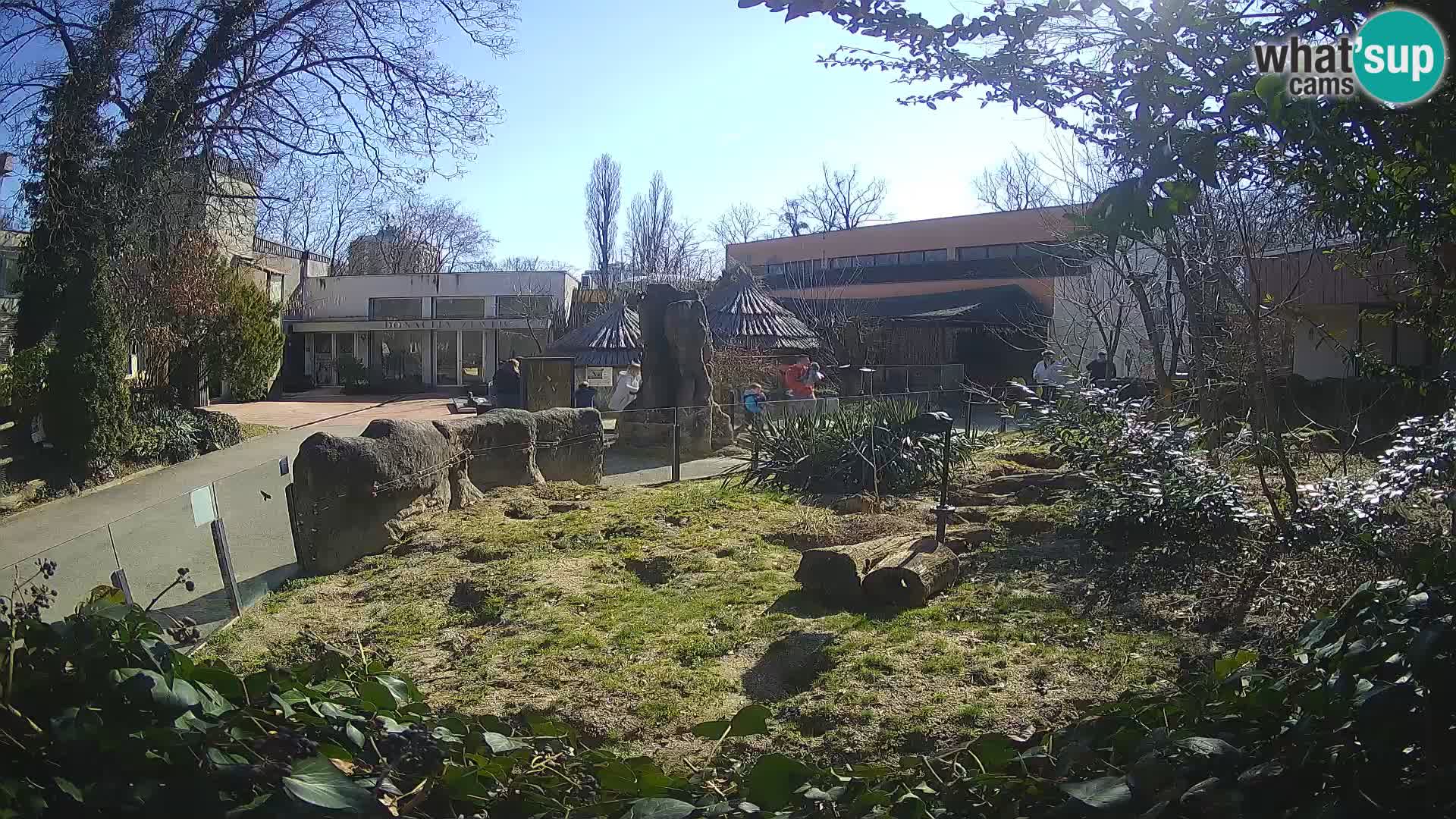 Zoo Zagreb – Erdmännchen