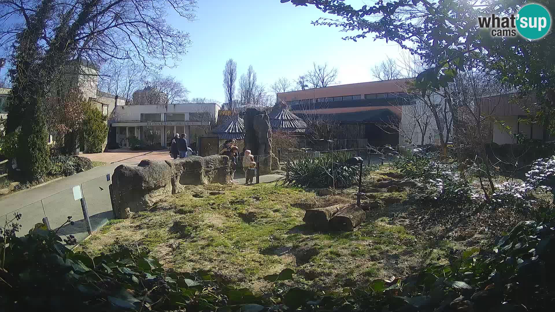 Zoo Zagreb – Suricata