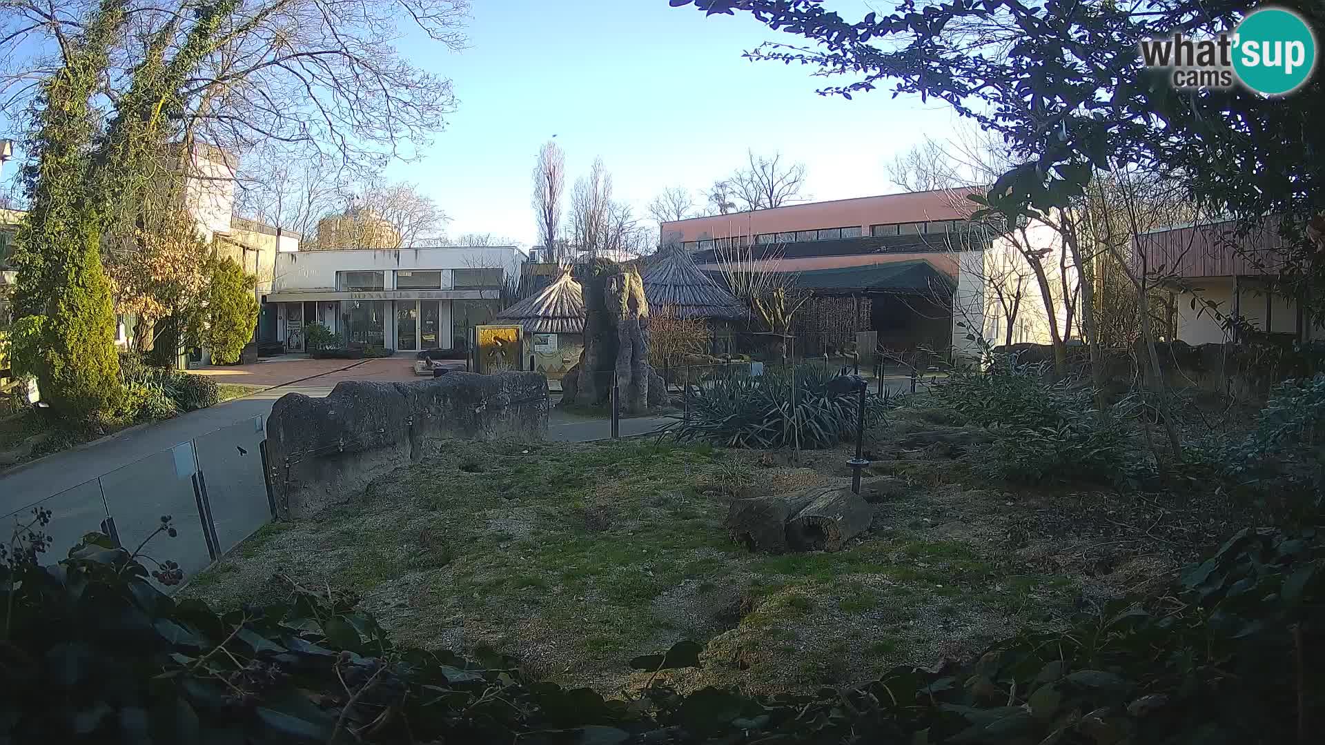 Zoo Zagreb – Erdmännchen