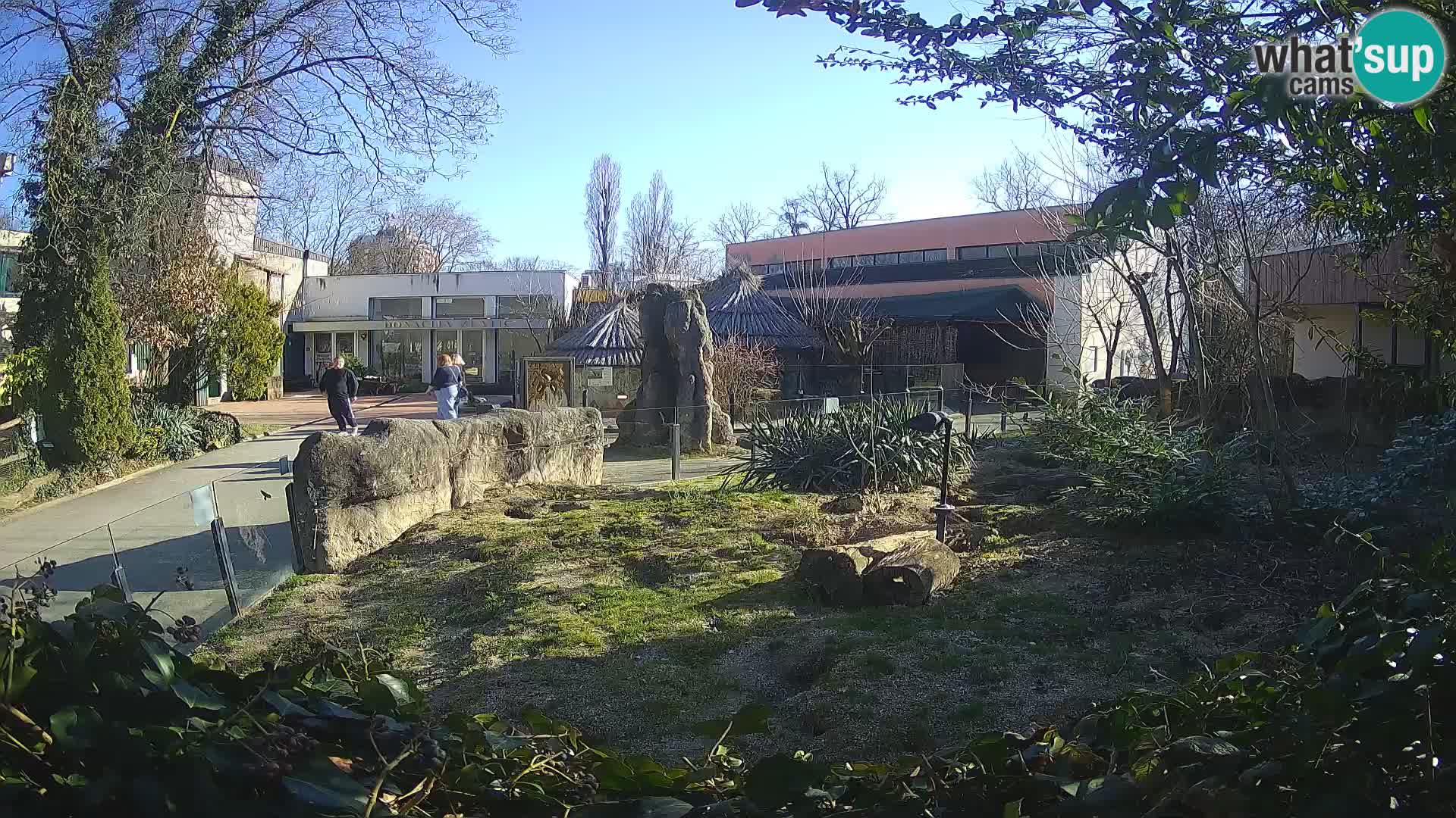 Zoo Zagreb – Suricata