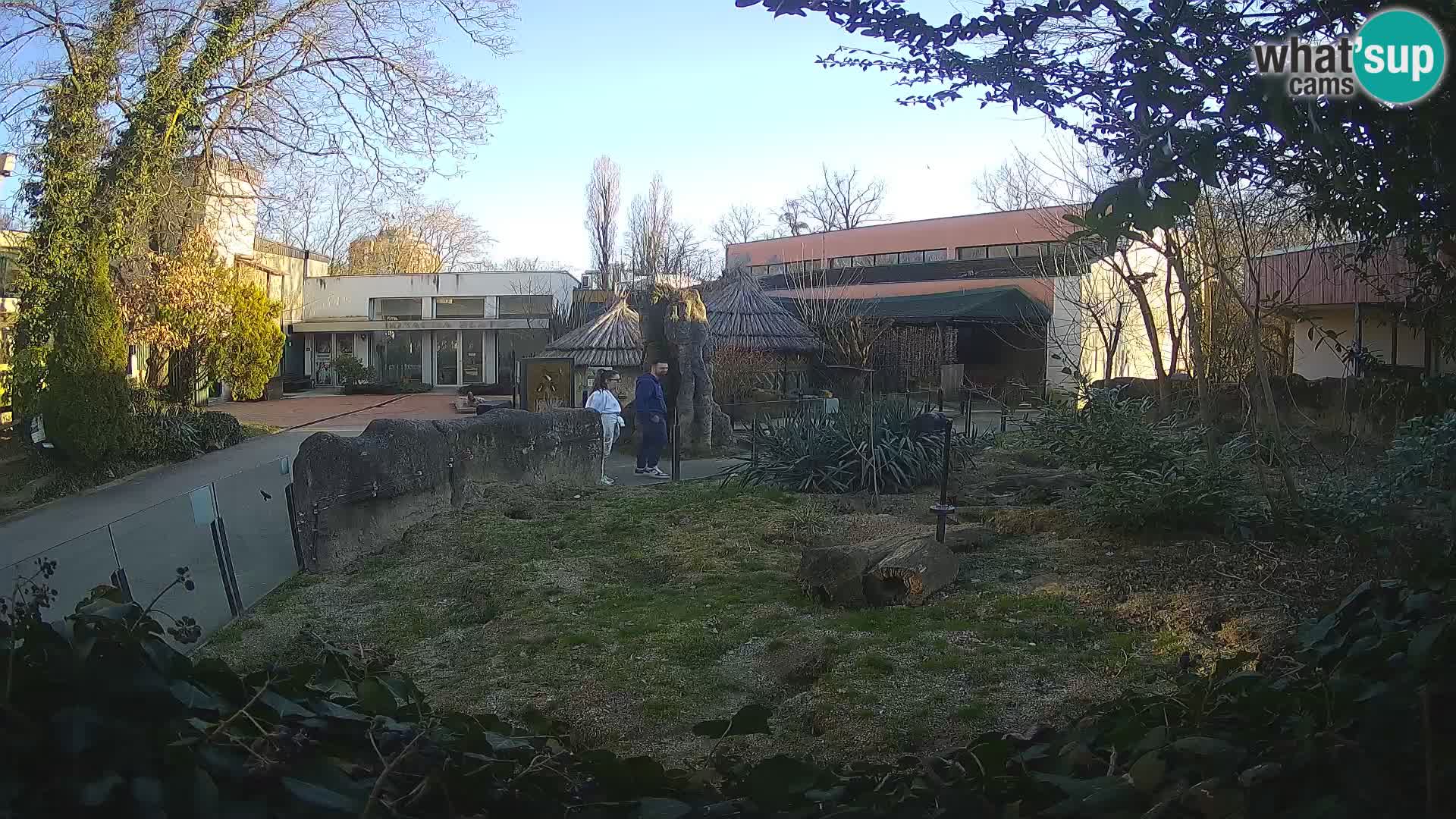 Zoo Zagreb – Merkat