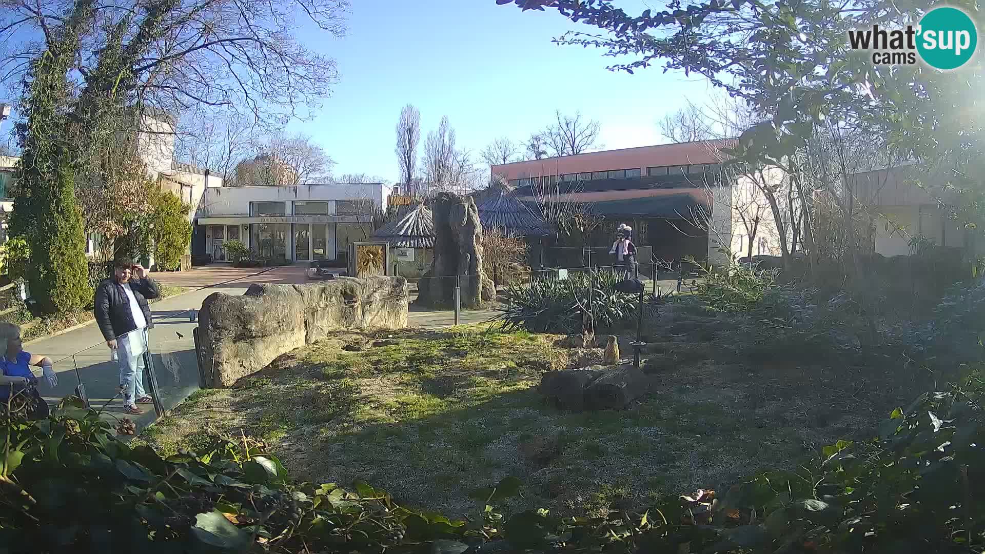 Zoo Zagreb – Surikate