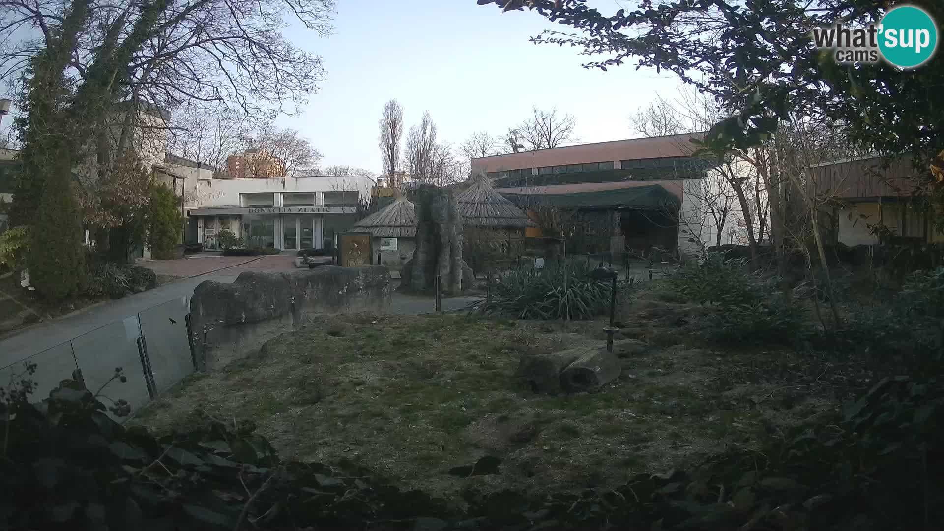 Zoo Zagreb – Merkat