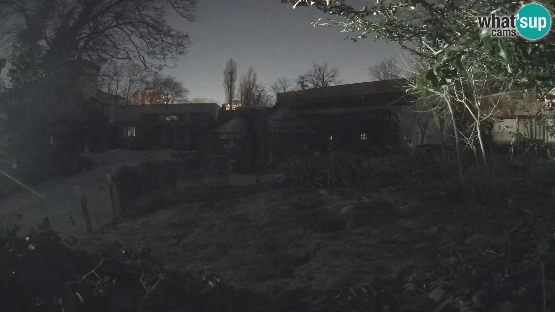 Zoo Zagreb – Erdmännchen