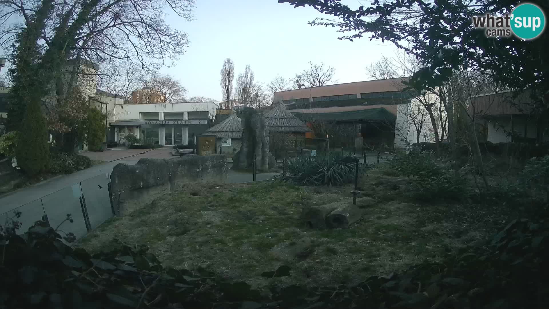 Zoo Zagreb – Surikate