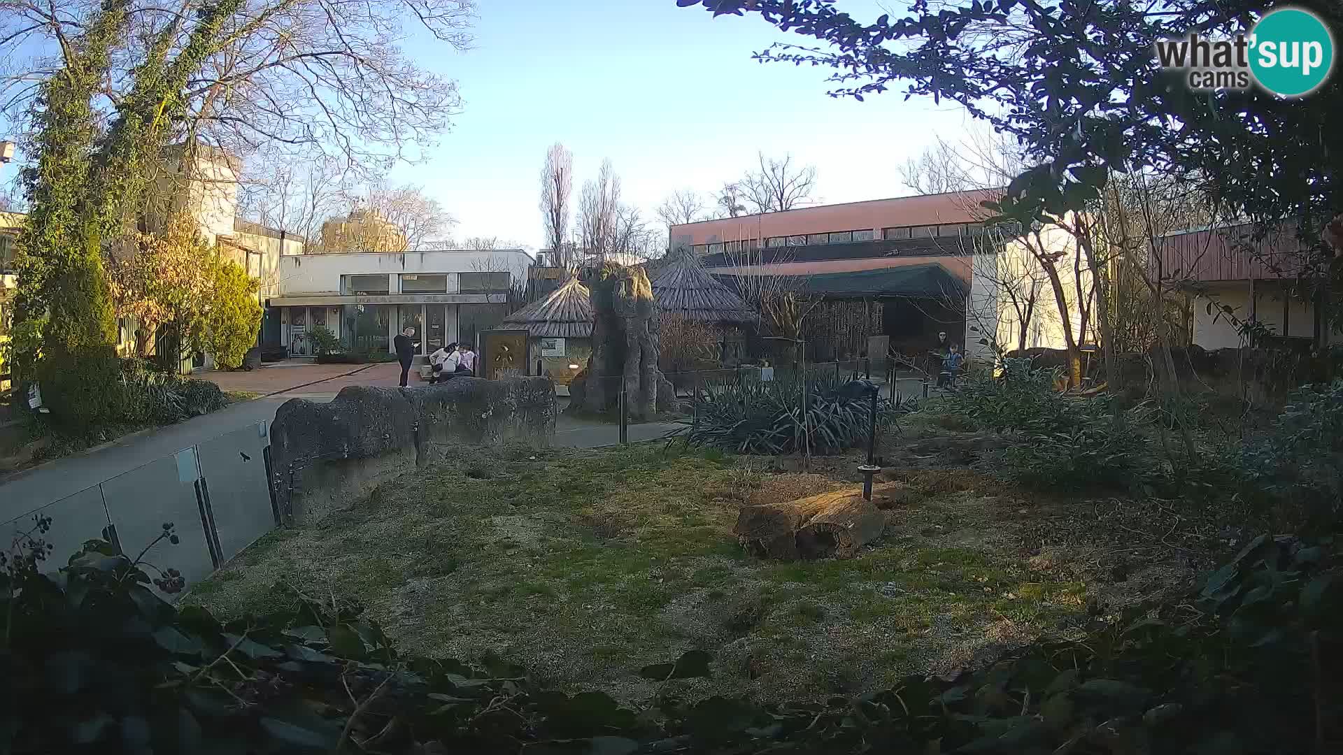 Zoo Zagreb – Surikate