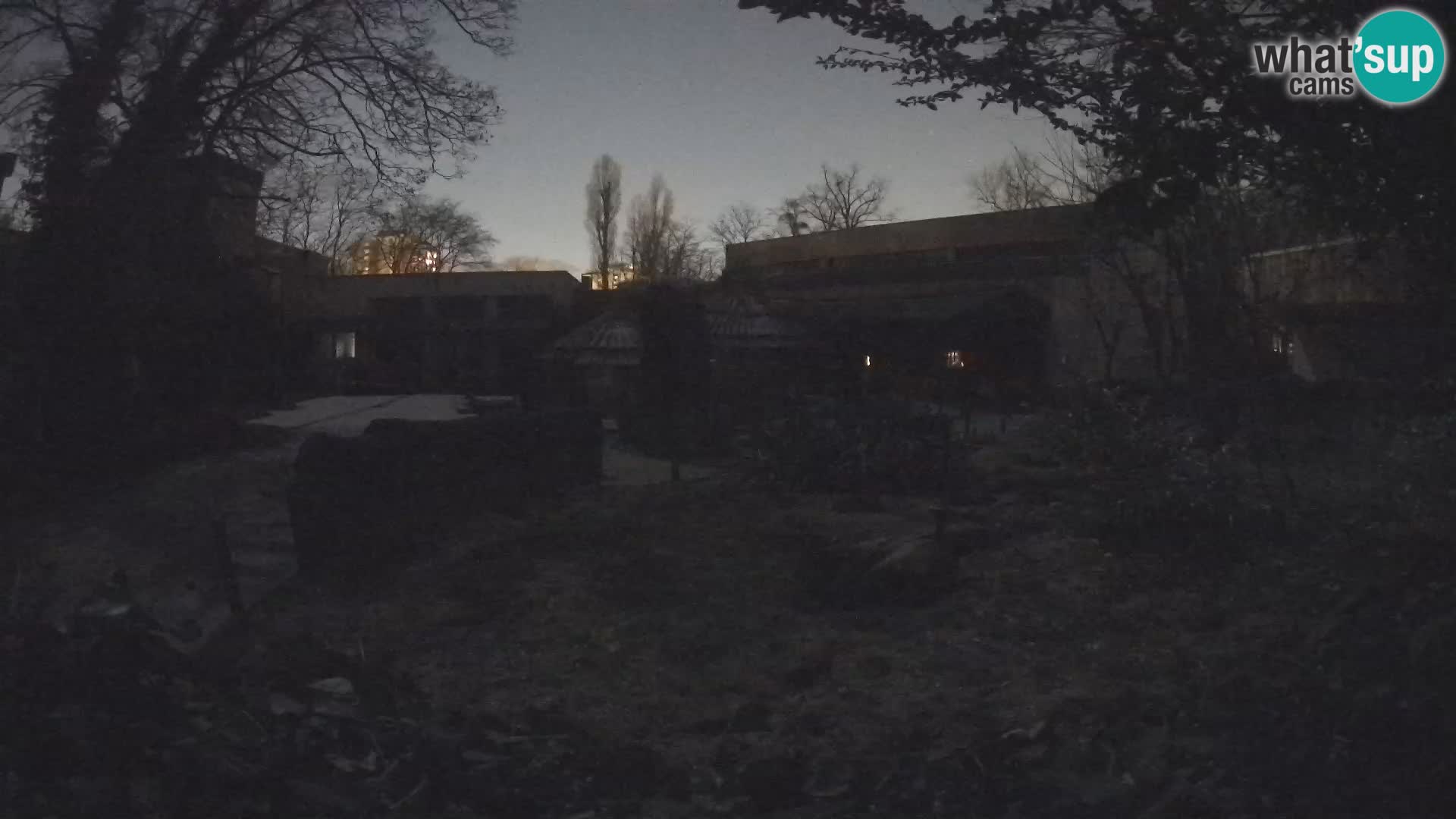 Zoo Zagreb – Surikate