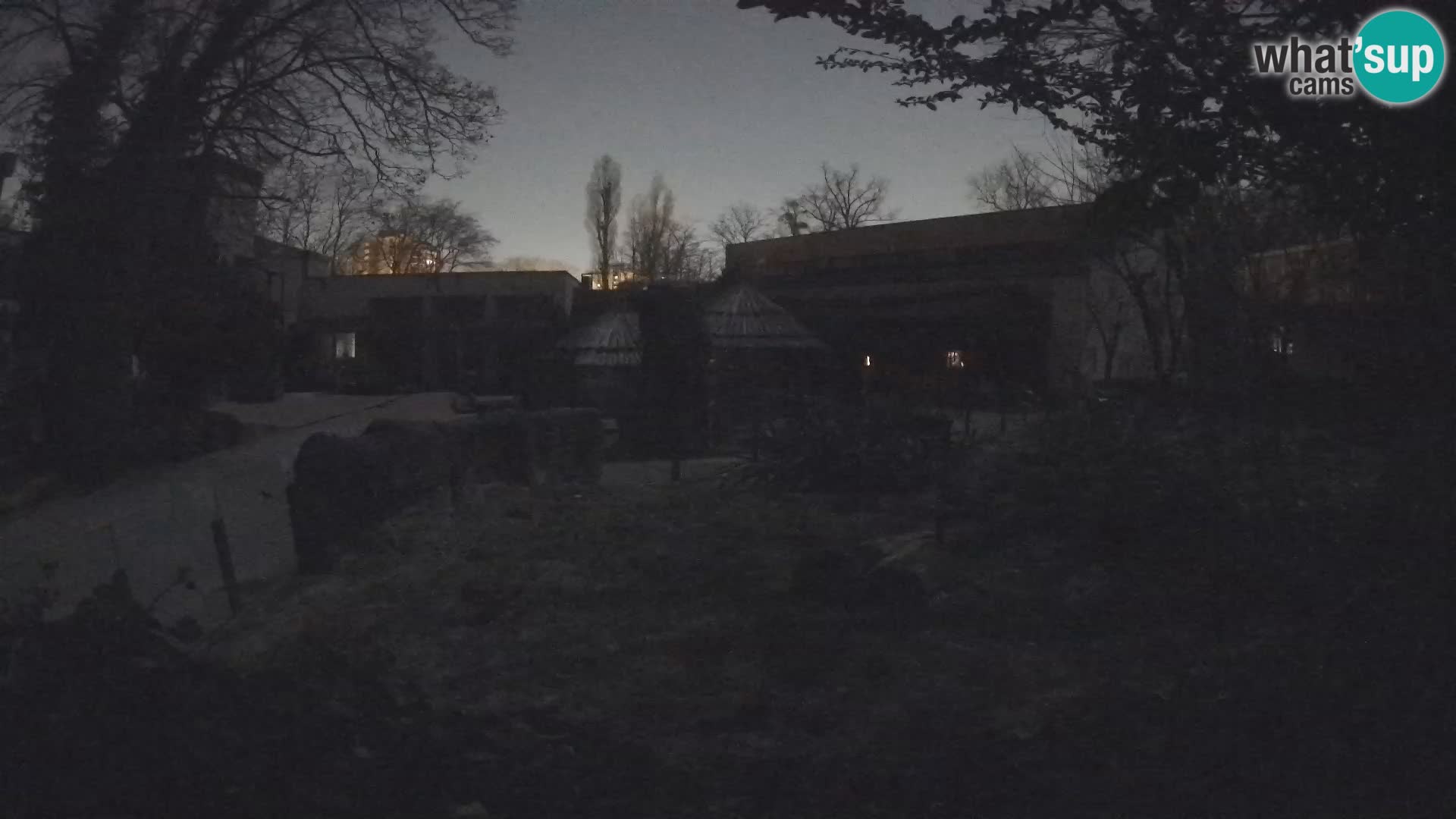 Zoo Zagreb – Surikate