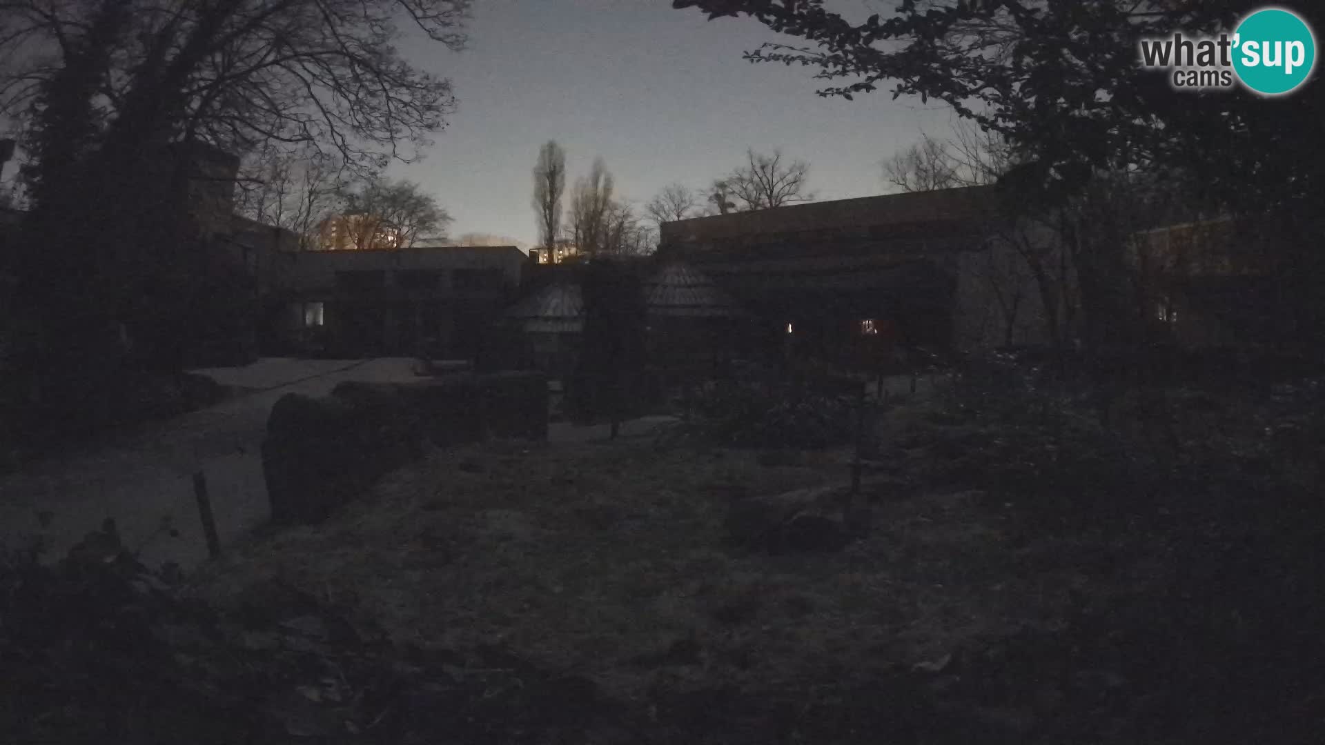 Zoo Zagreb – Erdmännchen