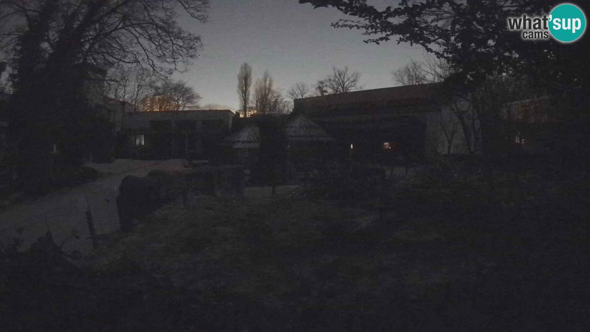 Zoo Zagreb – Merkat