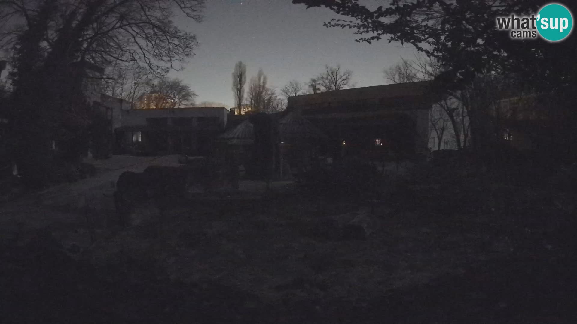 Zoo Zagreb – Surikate