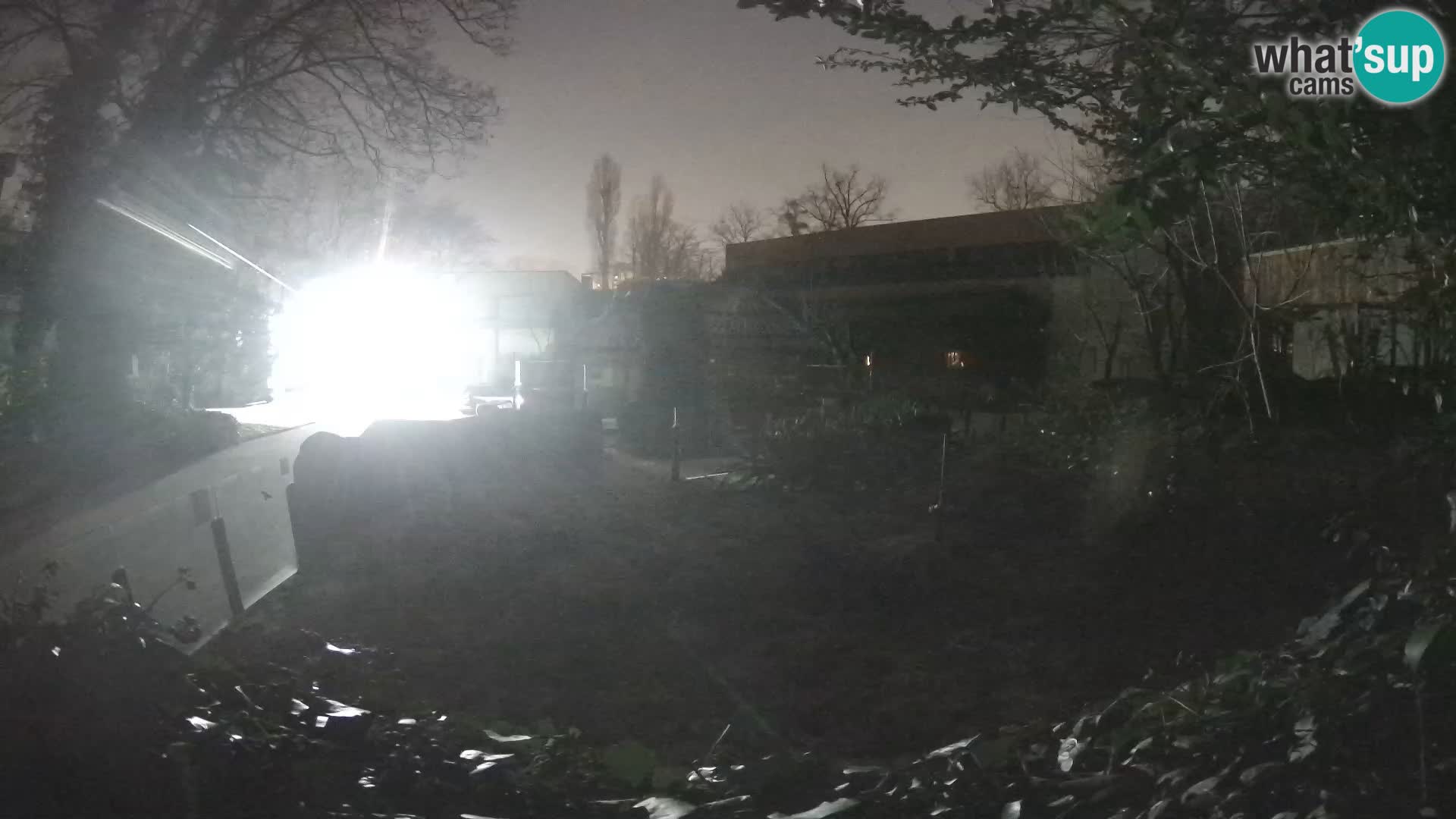 Zoo Zagreb – Erdmännchen