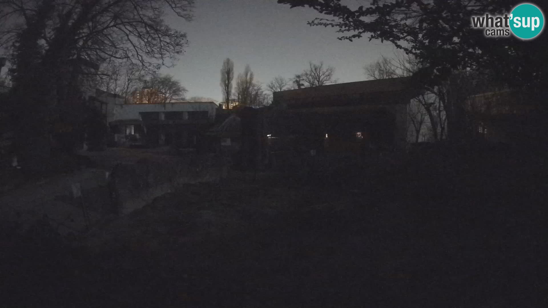 Zoo Zagreb – Erdmännchen