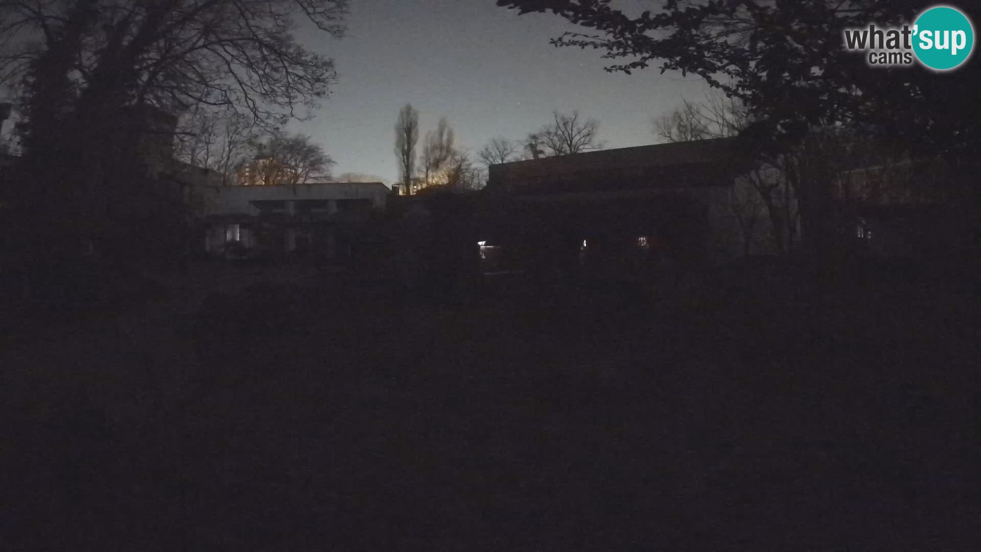 Zoo Zagreb – Suricata