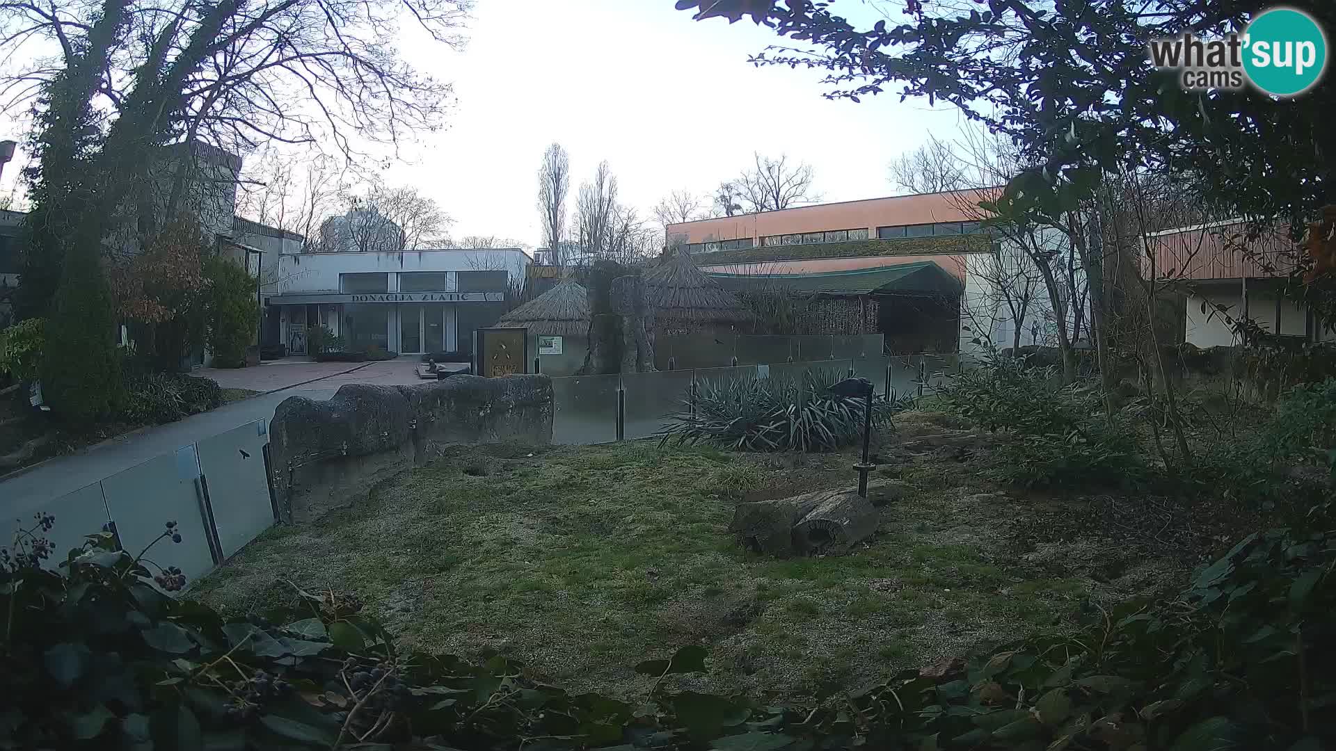 Zoo Zagreb – Erdmännchen