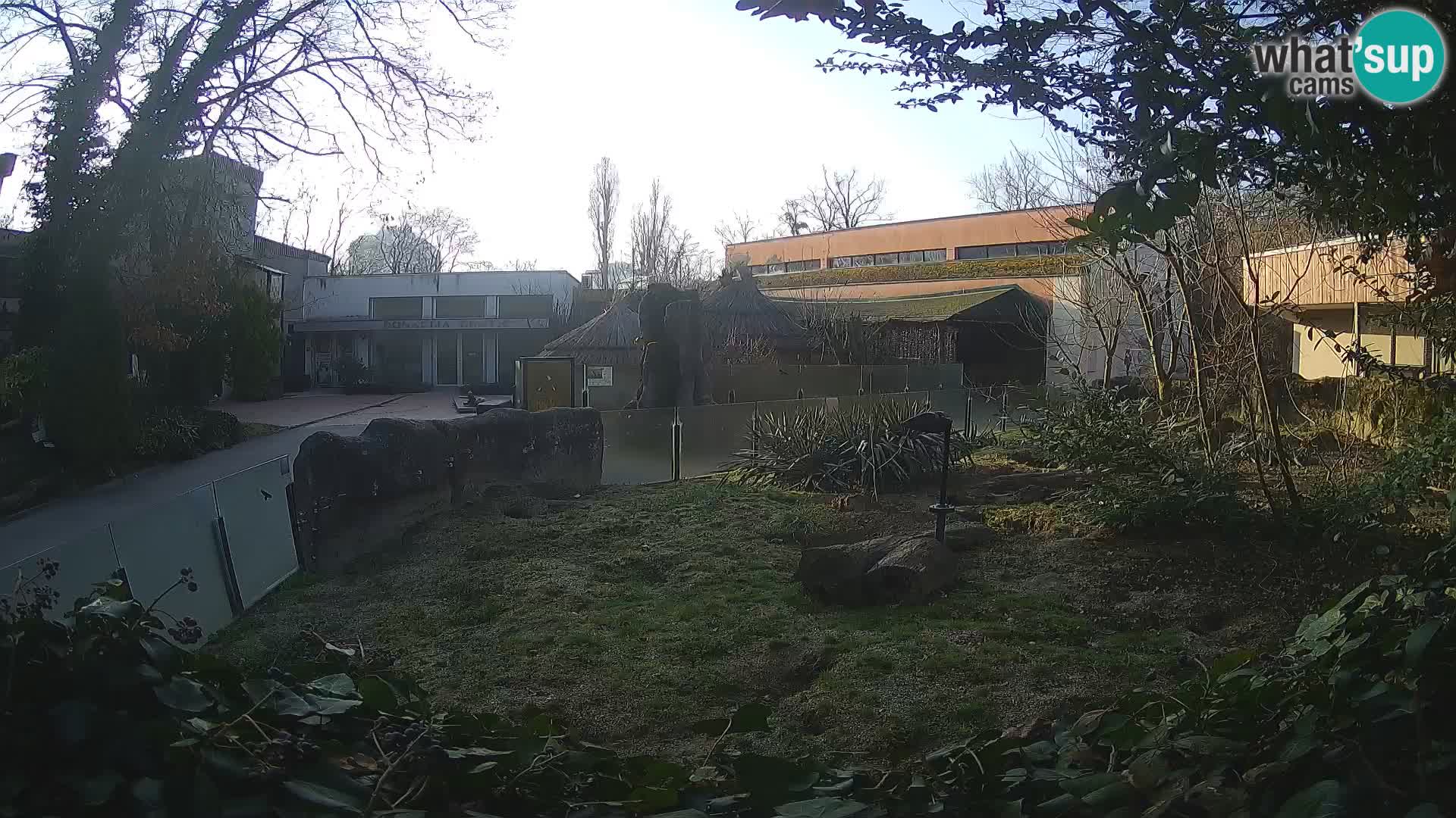 Zoo Zagreb – Erdmännchen